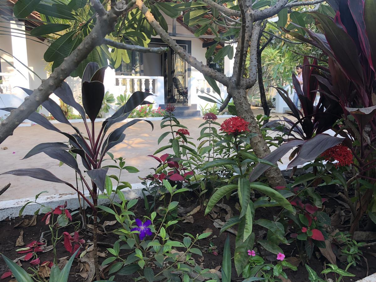 God'S Gift Morjim Hotel Exterior photo
